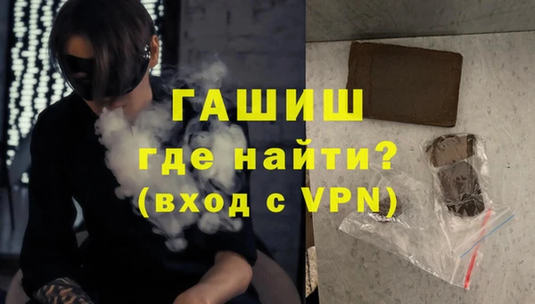 индика Мегион
