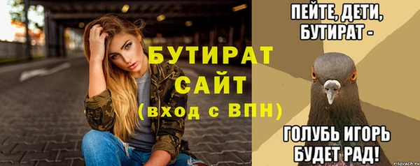 индика Мегион