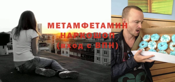 индика Мегион