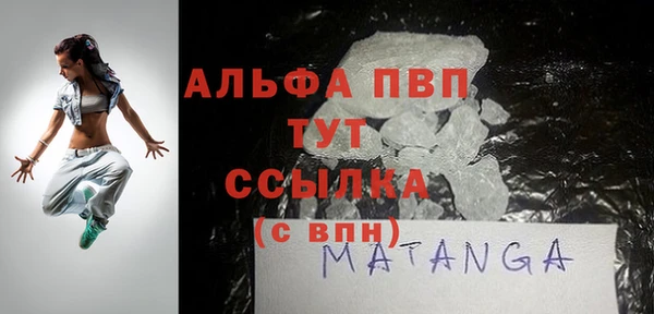 индика Мегион