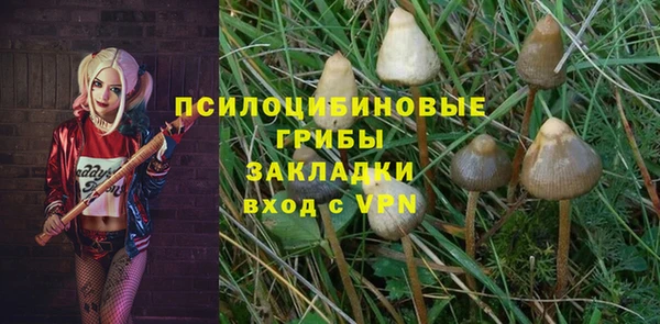 индика Мегион