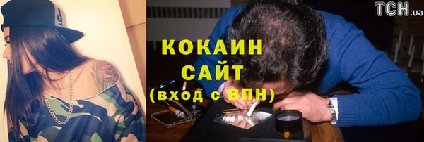 индика Мегион