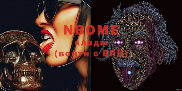 индика Мегион