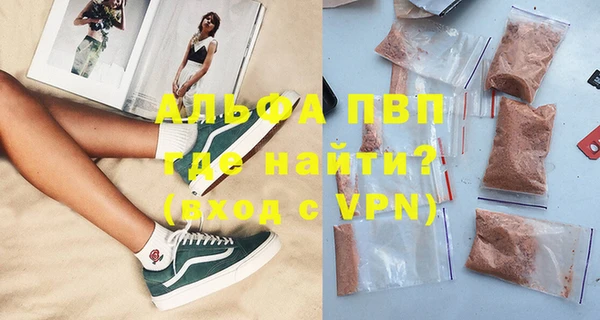 индика Мегион