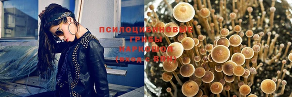 индика Мегион